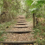 Timber steps