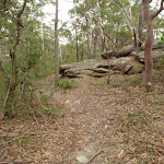 Graves Walk on top of the ridge