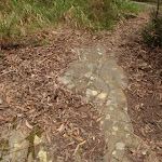 Rock markings on Graves Walk