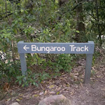Int of Gov. Phillip and Bungaroo tracks