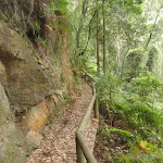 Track at base of cliff