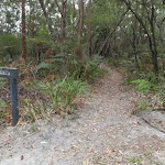 Intersection of Graves Walk and Maidens Brush management trail