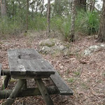 Old Picnic Table