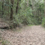 End of Taylors Rd lower trail