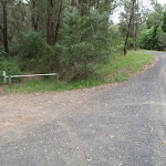 Start of Taylors Rd lower trail