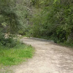 The servicetrail just east of Eastern Arterial Rd
