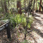 Sign on first bend on the Kanning Walk