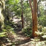Walking track East of the cave on Kanning Walk