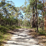 straight section on Sid Pulsford Walking trail