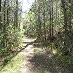 Trail near Sandringham Close