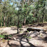 Small clearing were Sandringham track meets the management trail