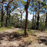 Warriwarri Lookout trail