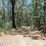 Sid Pulsford Walking trail