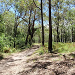 Int of Sid Pulsford walking trail and rest area trail