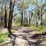 Sid Pulsford Walking Trail near the lookout