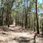 Sid Pulsford trail