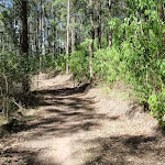 Glasson's Trail