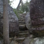 Steps on Bungaroo track