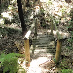 Crossing a small timber bridge