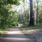 Paved section of service trail 