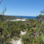 Looking down to Frazer beach from the Grass Tree Track