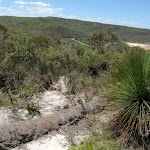 Eroded section of the Grass Tree Track