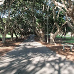 Tree lined path through Nielsen Park
