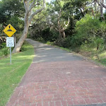Road leading beside the bush