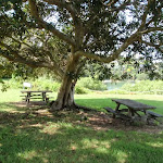 Picnic area behind Strickland House