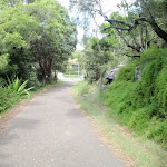 Path leading towards road