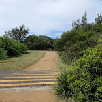 crossing a driveway on South Head
