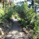 Maintained walking tracks in Cremorne Reserve