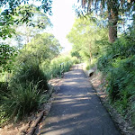 footpath leading through Cremorne Reserve