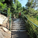 Steps on track in Cremorne Reserve