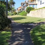 Houses beside Cremorne Reserve