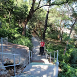 Steps in Cremorne Reserve