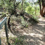 Bottom of Morella Rd track