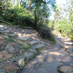 Bottom of the Iluka and Morella access track