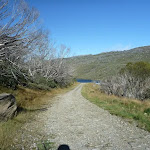 Management trail leading to Guthega Dam