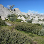 Track leading up to the gap at Porcupine Rocks