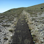 Metal grates on sections of the Main Range Track
