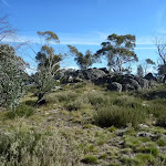 Granite outcrop on the Rennix Walk
