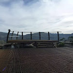 Kangaroo Ridge lookout platform