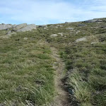 Mt Stilwell summit Track