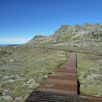 Looking abck along the Mt Kosciuszko Lookout path to the main track