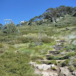 Looking up at the chairlift from Merrits Nature Track
