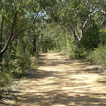 Perimeter Trail, near Terrey Hills
