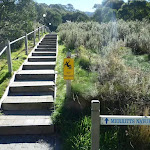 Merrits Nature Track steps at Friday Dr