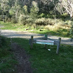 Int of the Golf Course Walk and Meadows Link trail