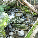 Creek beside Birralee Bushcamp